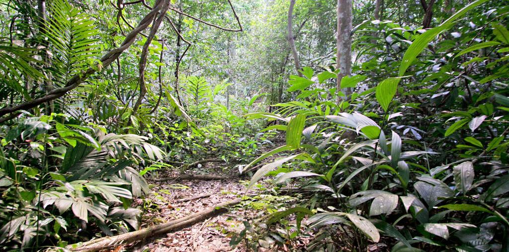 Pangkor Lot 10 Vacation Studio Pekan Pangkor Exteriör bild